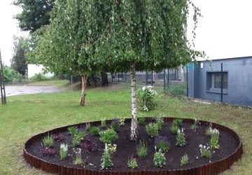 Ogródek Pełen Kolorów i Dźwięków