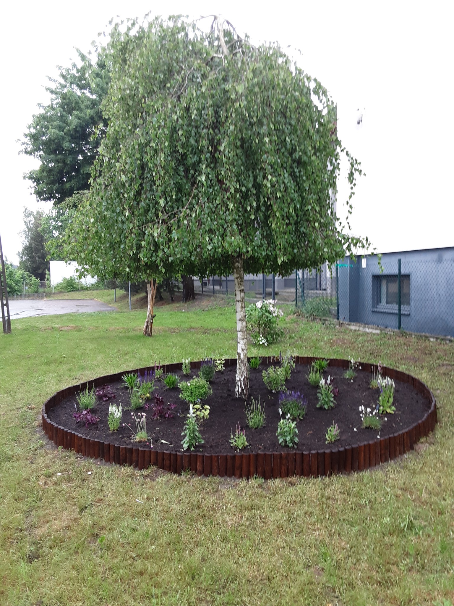 Ogródek Pełen Kolorów i Dźwięków