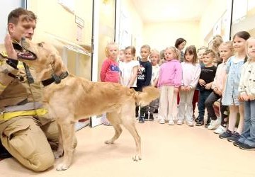 🐕Nasze przedszkole odwiedzili wyjątkowi goście - strażacy wraz ze swoimi psami ratowniczymi🚒🐕‍🦺